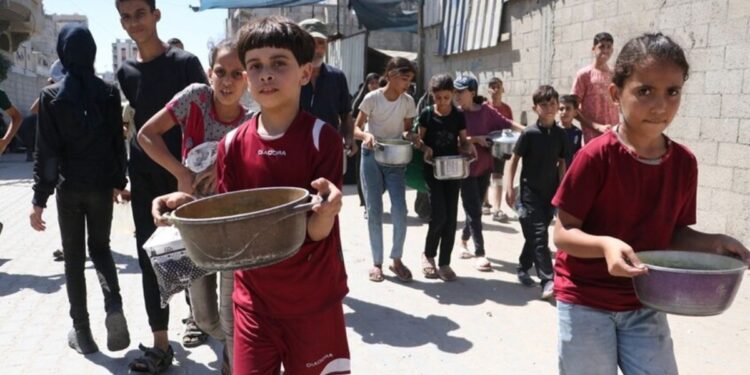 Laporan Terbaru: 13 Anak Meninggal, Termasuk 10 Janin, di Kompleks Medis Nasser, Gaza Selatan