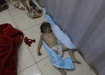 Gencatan Senjata Tak Hentikan Derita: UNICEF Laporkan Pembunuhan Anak Terus Berlanjut di Gaza