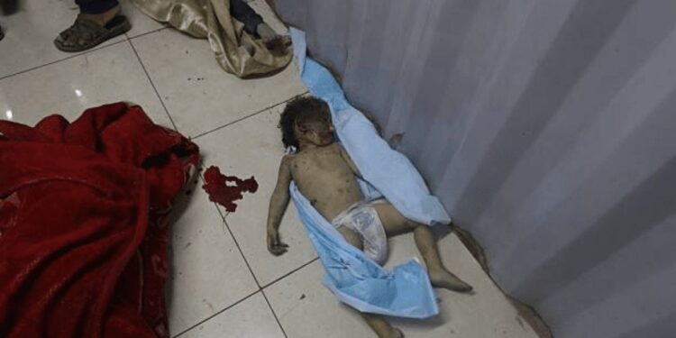 Gencatan Senjata Tak Hentikan Derita: UNICEF Laporkan Pembunuhan Anak Terus Berlanjut di Gaza