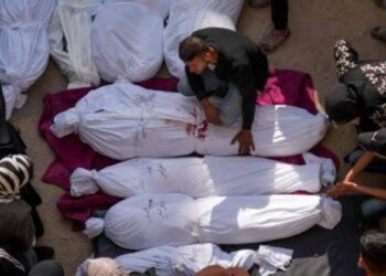 Israel Akui Sekitar 71.000 Warga Palestina Menjadi Korban Jiwa dalam Genosida Gaza, Terima Data Kementerian Kesehatan Palestina