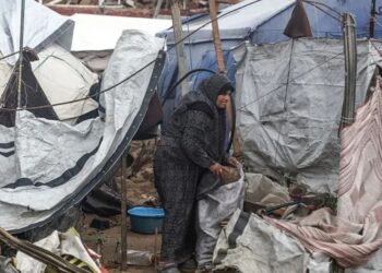 Krisis Baru di Gaza: Tikus dan Limbah Mengancam Ribuan Pengungsi