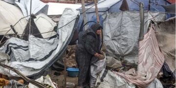 Krisis Baru di Gaza: Tikus dan Limbah Mengancam Ribuan Pengungsi
