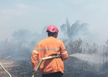 Petugas memadamkan karhutla Kalimantan di tengah kabut asap
