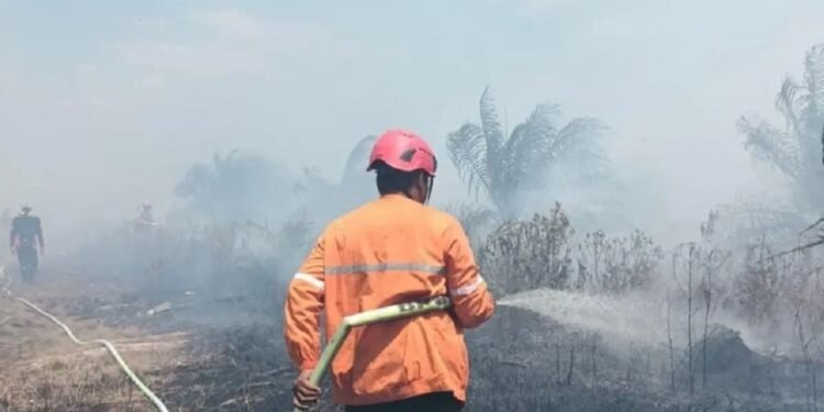 Petugas memadamkan karhutla Kalimantan di tengah kabut asap