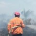 Petugas memadamkan karhutla Kalimantan di tengah kabut asap