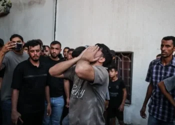Tujuh Warga Palestina Jadi Korban Jiwa dalam Serangan Israel di Berbagai Wilayah Gaza